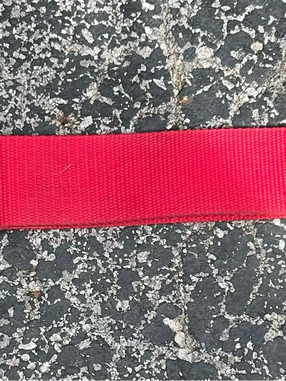 Red Nylon Dog Collar with Paw-Print Metal Slide
